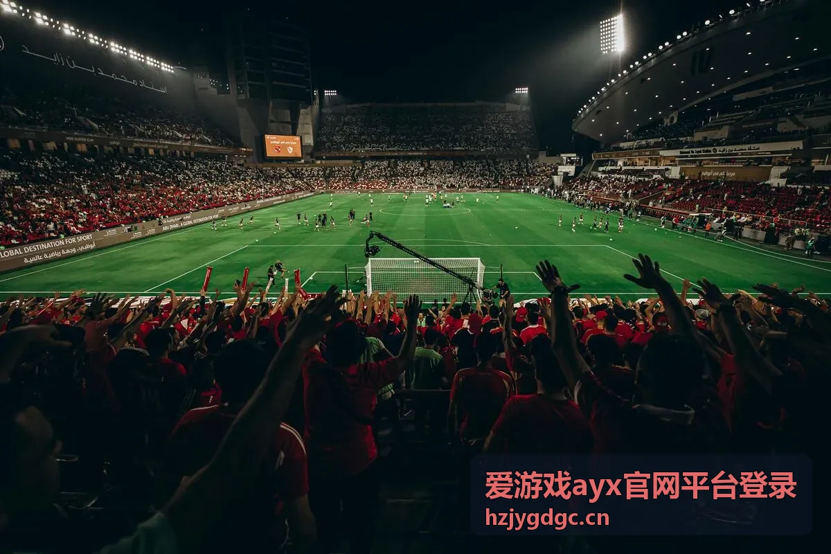 爱游戏ayx官网平台登录功能说明配图